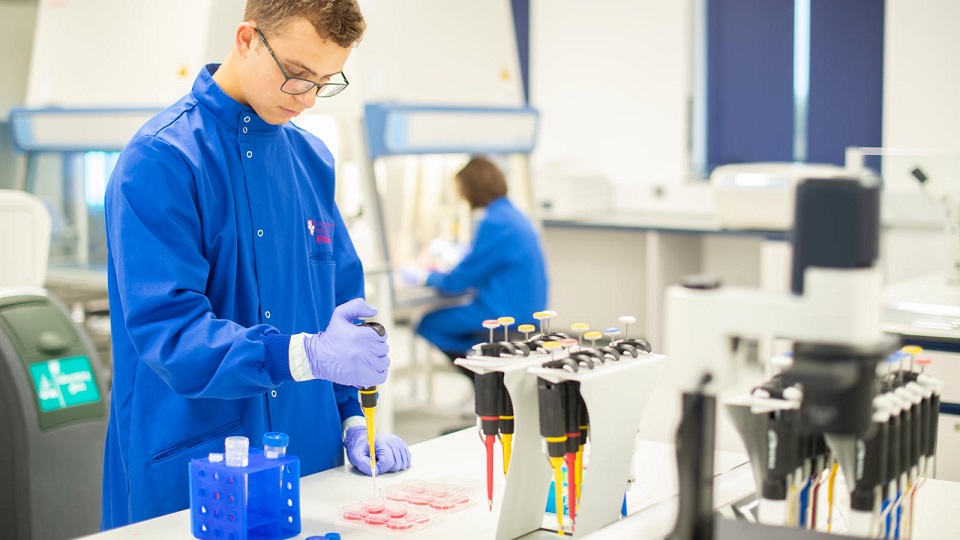 معرفی  بهترین رشته ها برای مهاجرت به آمریکا 